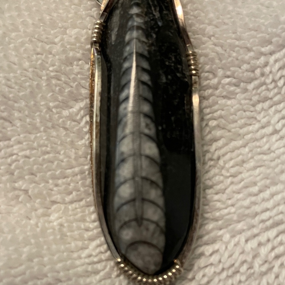 Silver Wire Wrapped Fossil Pendant - Picture 3 of 4